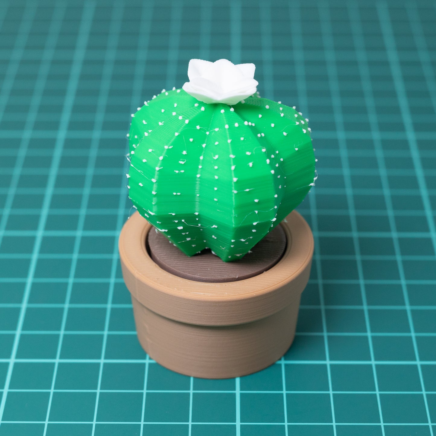 Cactus Clicker Trinket