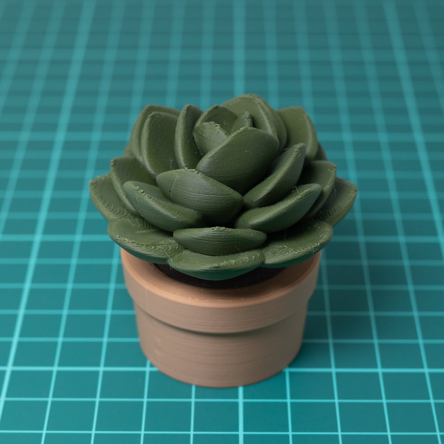 Succulent Clicker Trinket