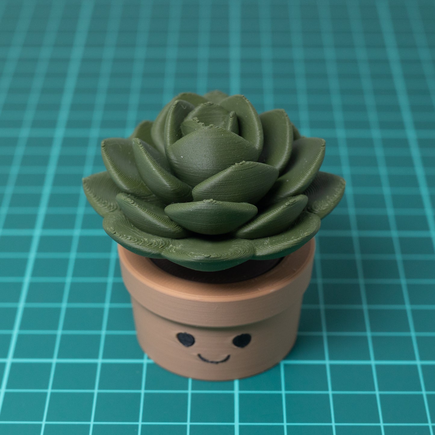 Succulent Clicker Trinket