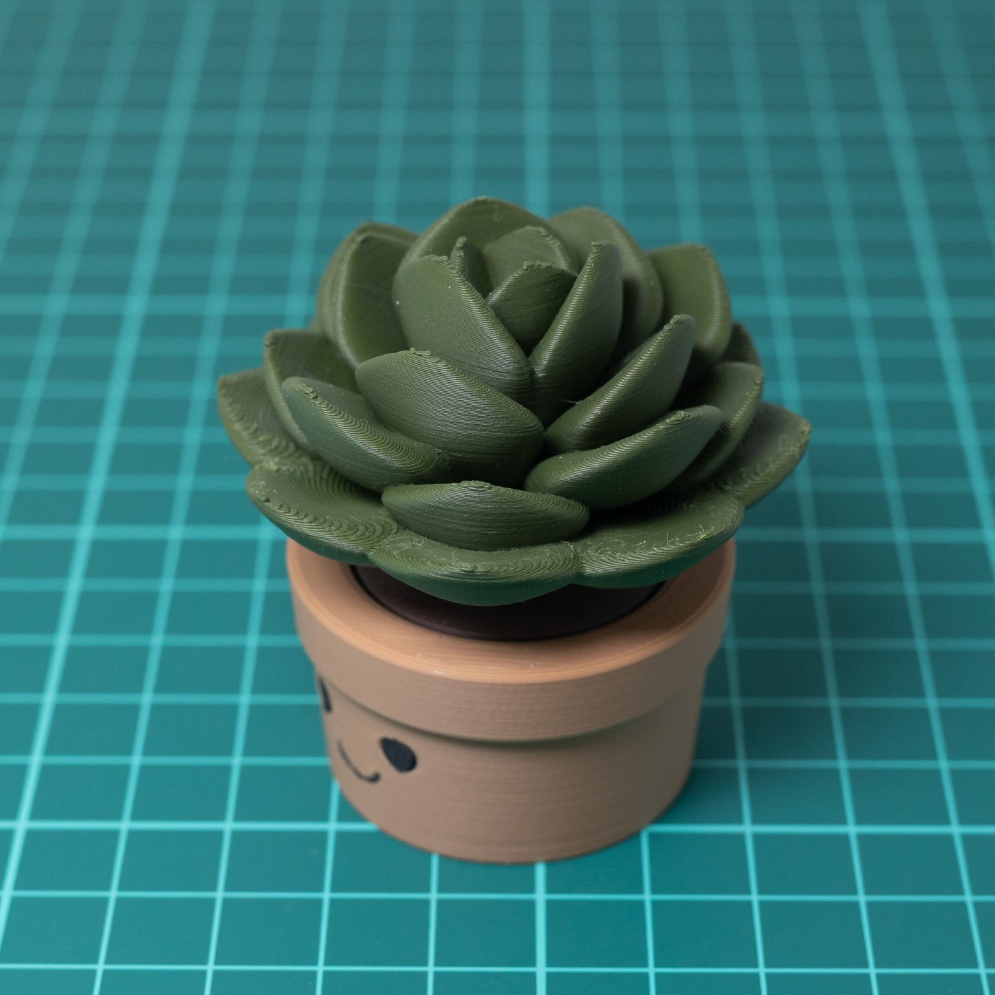 Succulent Clicker Trinket